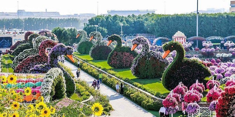 Dubai Garden Glow – Explore The Beautiful Garden