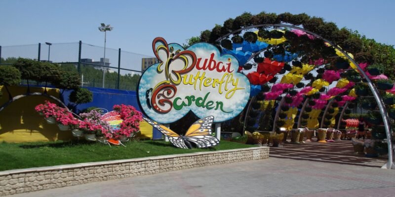 Dubai Butterfly Garden