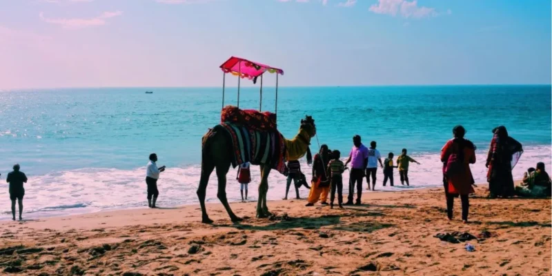 Gujarat Coastal Road Trip