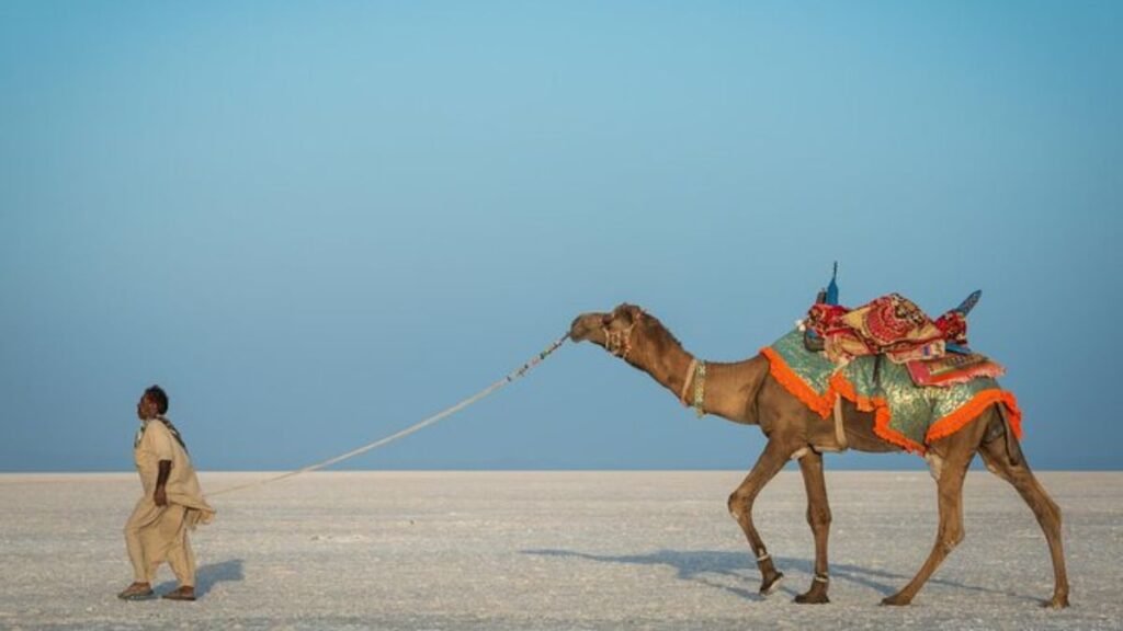 Kutch