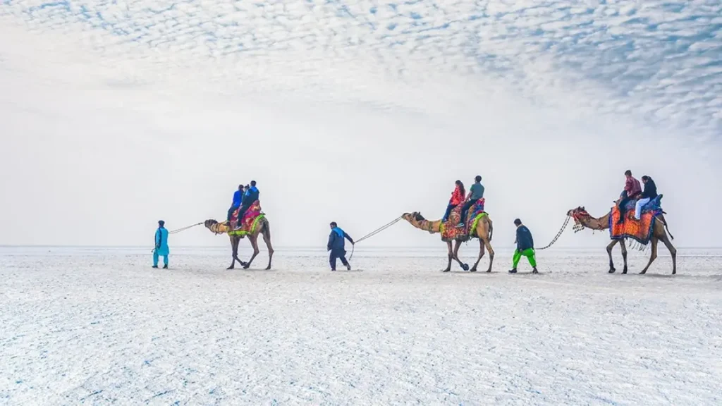 White Rann of Kutch