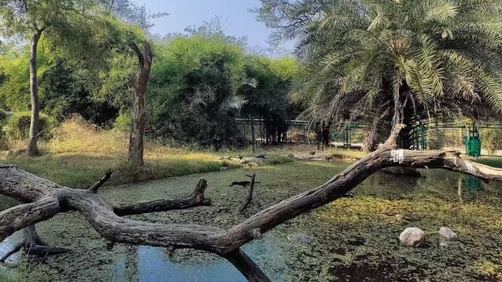 Indroda Park
