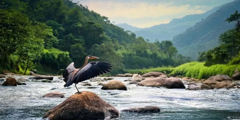 Jambughoda Wildlife Sanctuary Panchmahal: Complete Nature Guide
