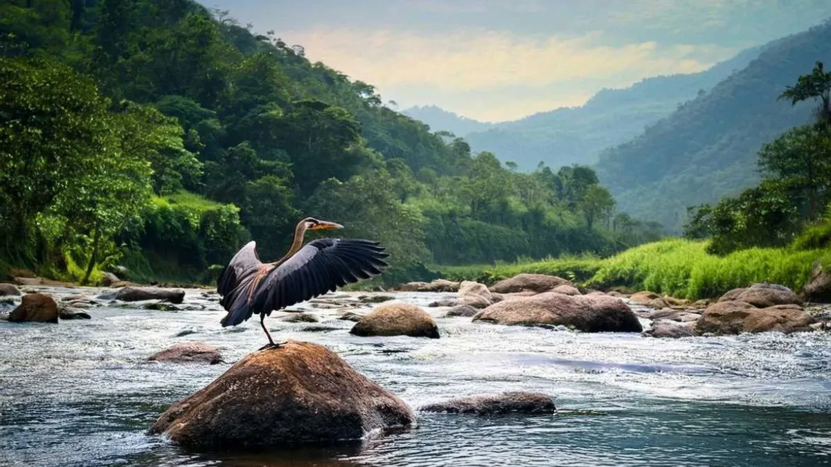 Jambughoda Wildlife Sanctuary Panchmahal: Complete Nature Guide