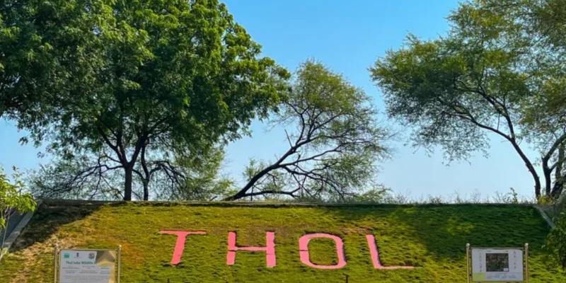 Thol Lake Bird Sanctuary