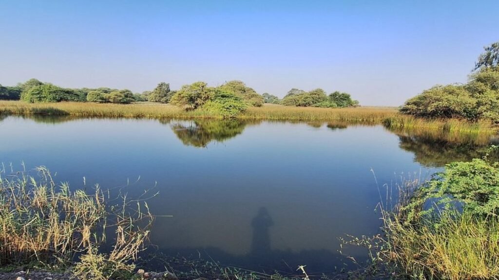 Lake