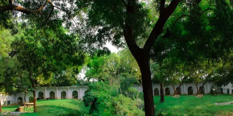 Kankaria Zoo