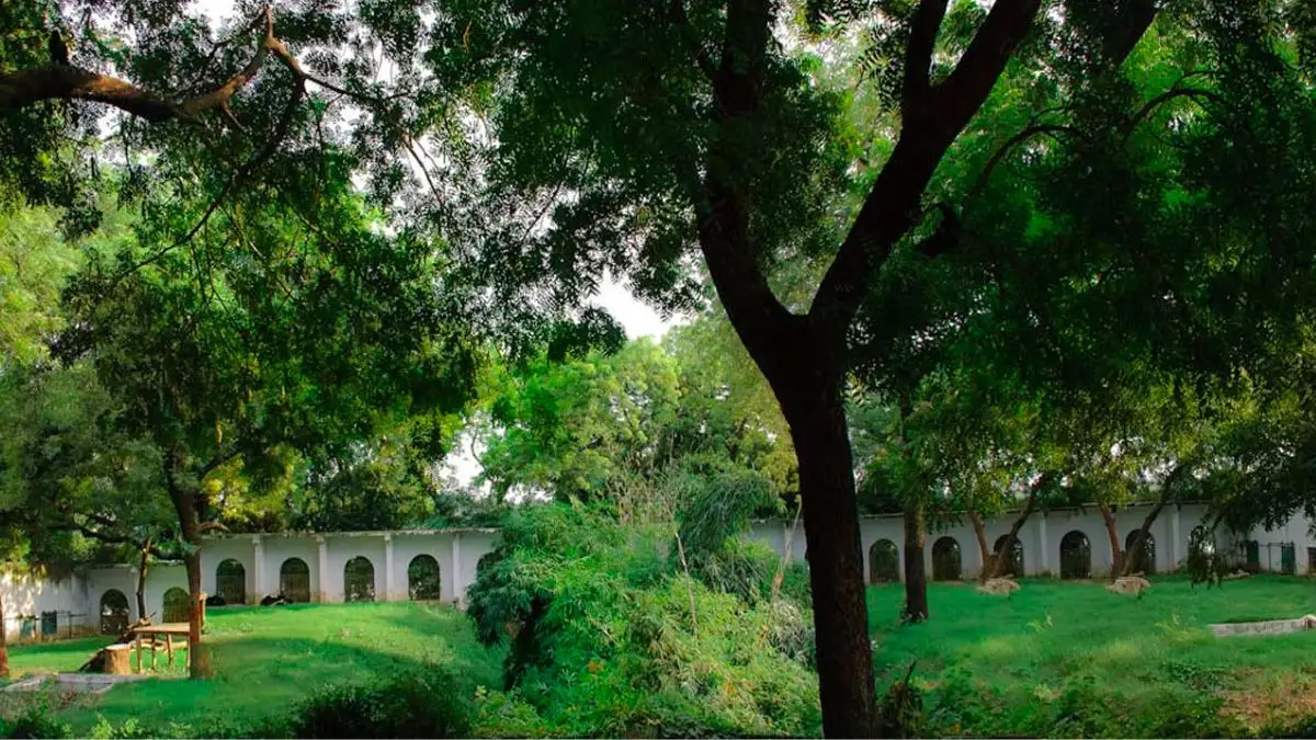 Kankaria Zoo
