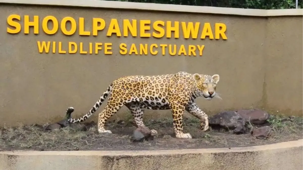 Shoolpaneshwar Wildlife Sanctuary