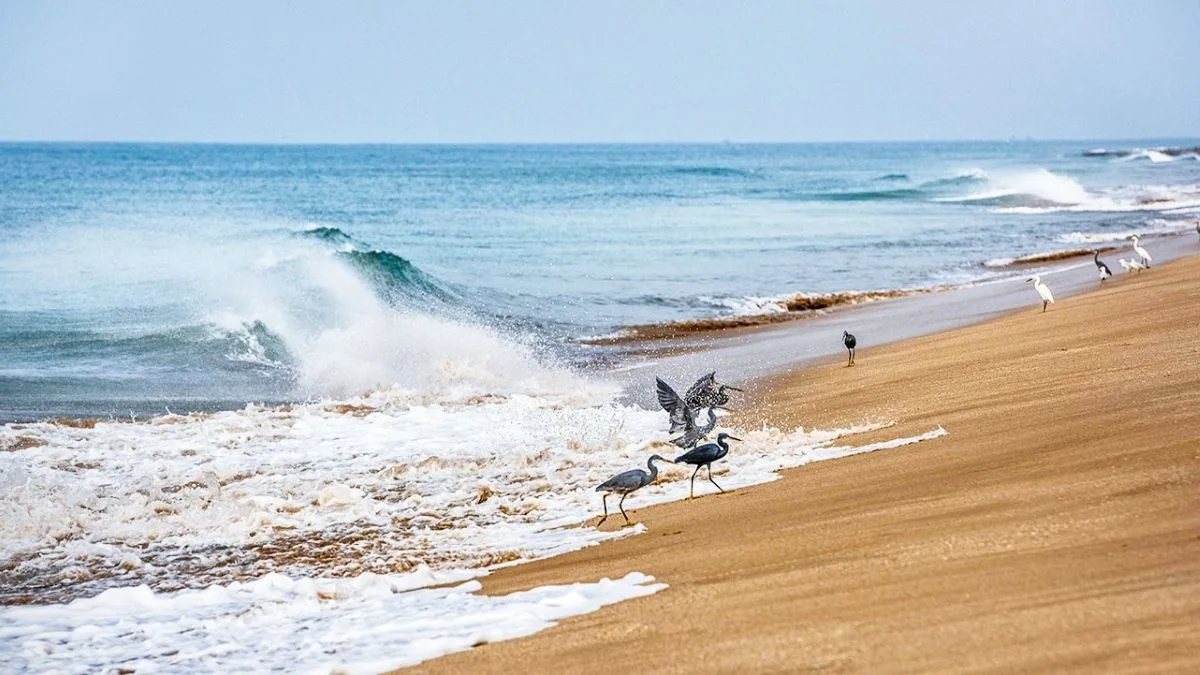 Madhavpur Beach